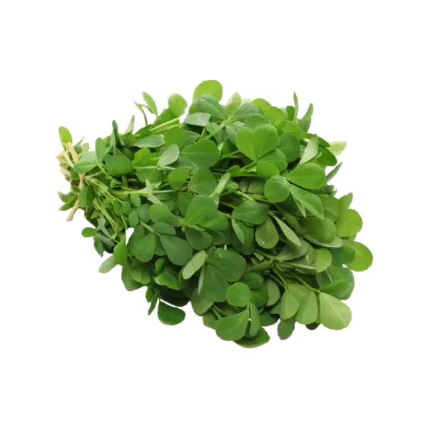 Fenugreek leaves (మెంతికూర)