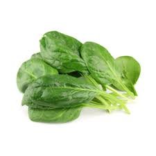 Malabar Spinach  (బచ్చలి కూర)