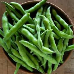 Broad Beans (చిక్కుడుకాయ)