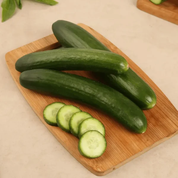 Green Cucumber ( కీర దోసకాయ)