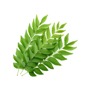 Curry Leaves (కరివేపాకు)