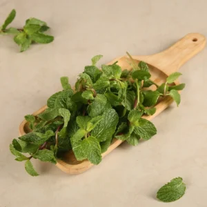 Mint Leaves (పుదీనా)