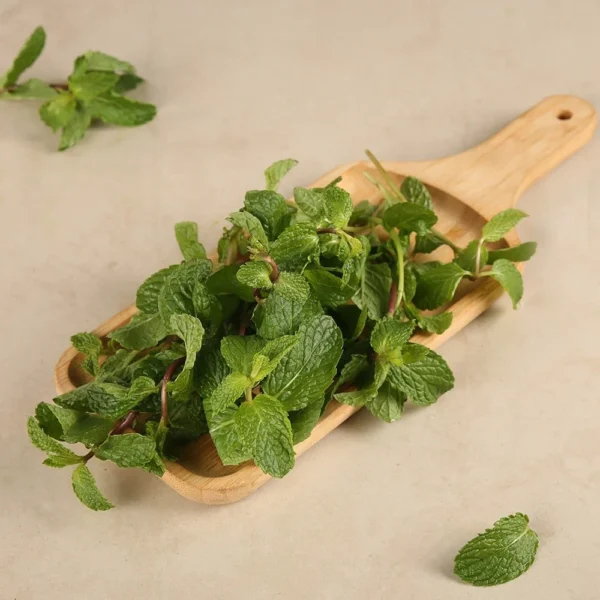 Mint Leaves (పుదీనా)