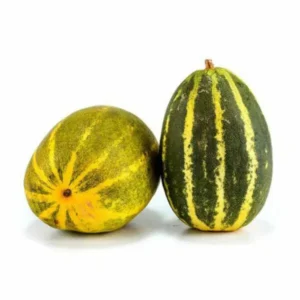 Cucumber ( దోసకాయ)