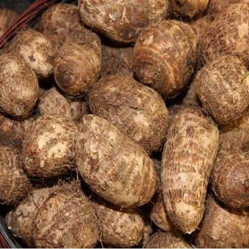 Taro root (చేమ దుంప)