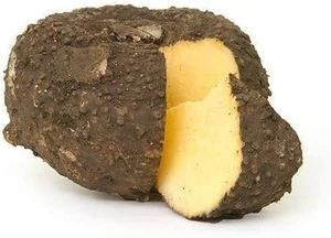 Yam (కందగడ్డ)