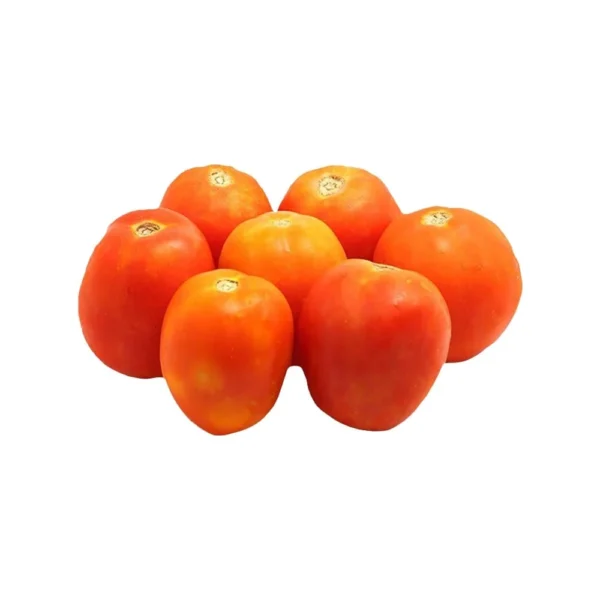 Tomato Hybrid (టమాటా హైబ్రిడ్)