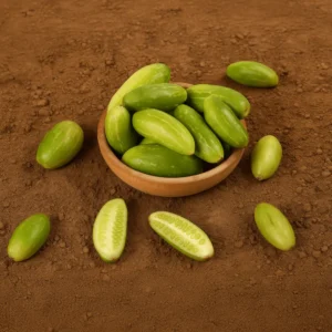 Ivy gourd (దొండకాయ)