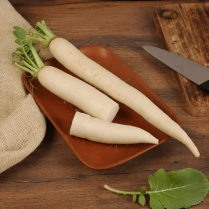 Radish (ముల్లంగి)