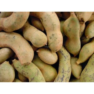Raw Tamarind (పచ్చి చింతకాయ)