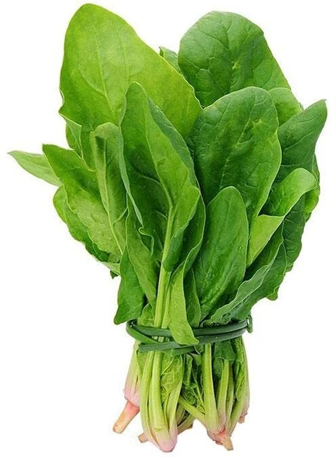 spinach (పాలకూర)