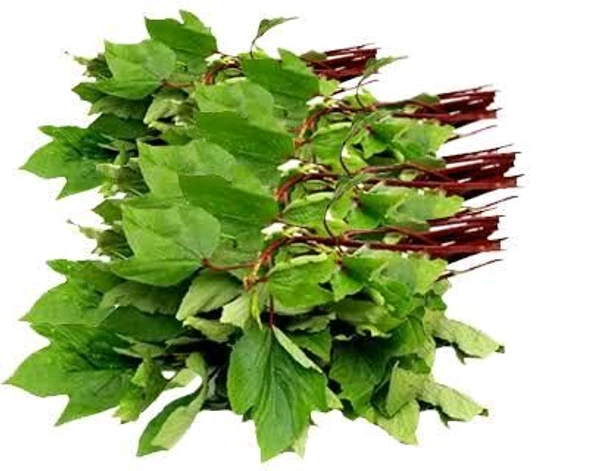 Sorrel leaves (గోంగూర)