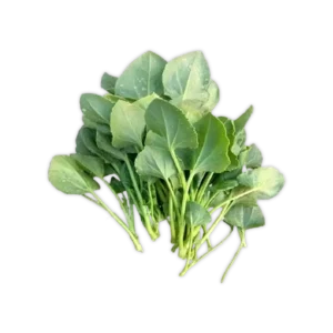 Spinach Dock (చుక్క కూర)