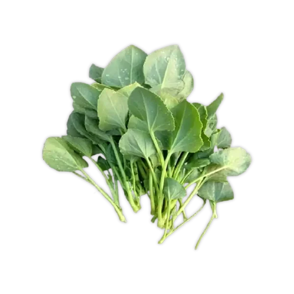 Spinach Dock (చుక్క కూర)